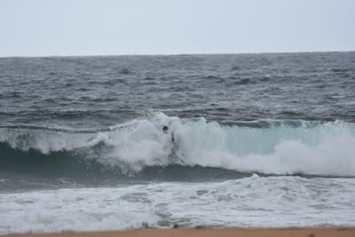DSC_0681.JPG