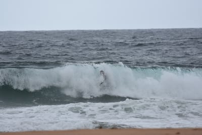 DSC_0682.JPG