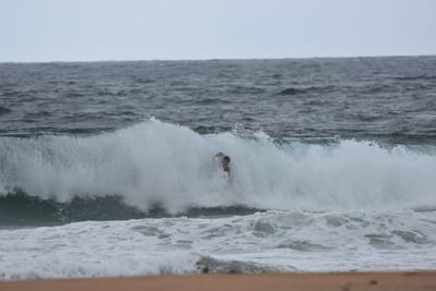 DSC_0683.JPG