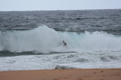 DSC_0684.JPG