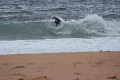DSC_0685.JPG