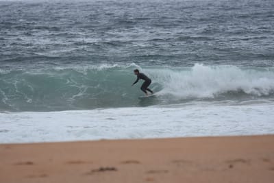 DSC_0686.JPG