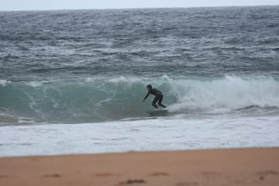 DSC_0687.JPG