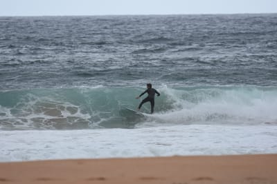 DSC_0688.JPG