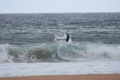 DSC_0690.JPG