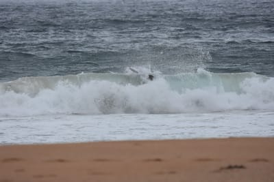 DSC_0695.JPG