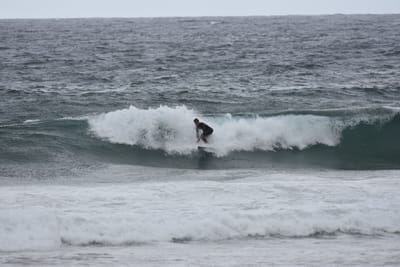 DSC_0697.JPG