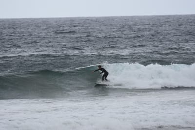 DSC_0698.JPG