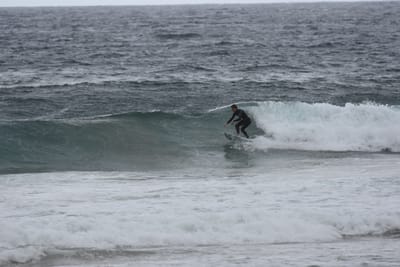 DSC_0699.JPG