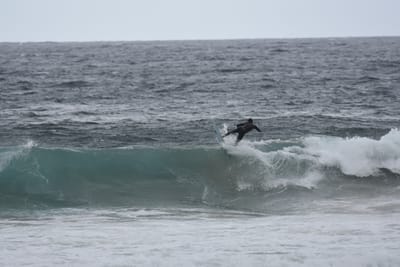 DSC_0700.JPG