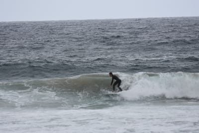 DSC_0702.JPG