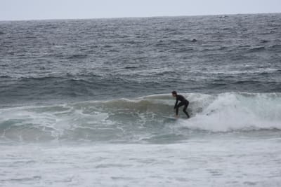 DSC_0703.JPG