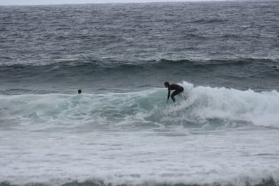 DSC_0704.JPG