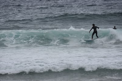 DSC_0705.JPG