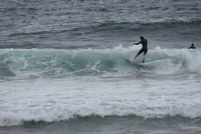 DSC_0706.JPG