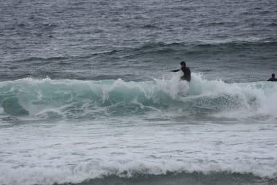 DSC_0707.JPG