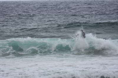 DSC_0708.JPG