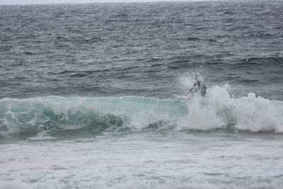DSC_0709.JPG