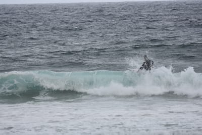 DSC_0710.JPG