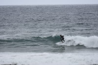 DSC_0711.JPG