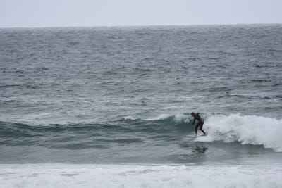 DSC_0712.JPG