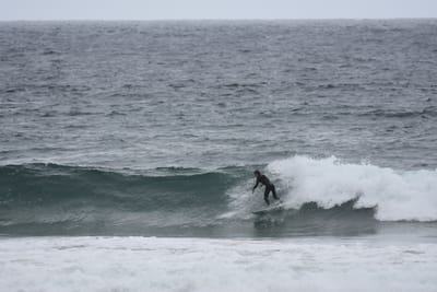 DSC_0713.JPG