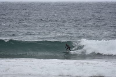 DSC_0714.JPG