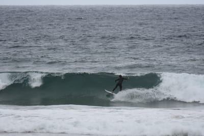 DSC_0717.JPG