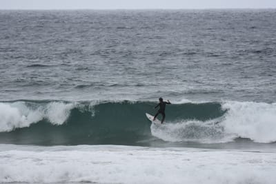 DSC_0718.JPG