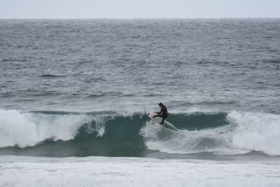 DSC_0719.JPG