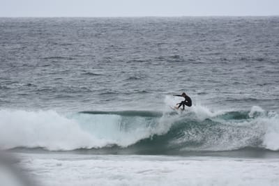 DSC_0721.JPG