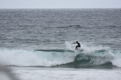 DSC_0722.JPG