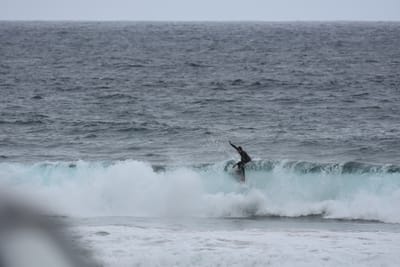 DSC_0725.JPG