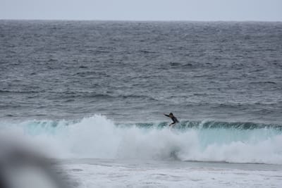 DSC_0726.JPG