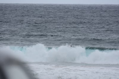 DSC_0727.JPG