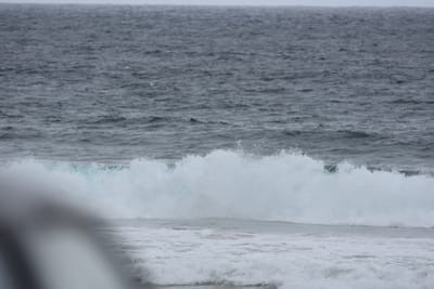 DSC_0728.JPG