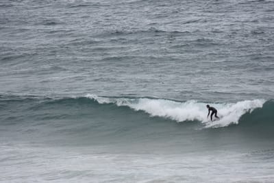DSC_0729.JPG