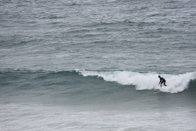 DSC_0730.JPG
