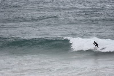 DSC_0731.JPG