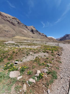 20191117_120637.jpg