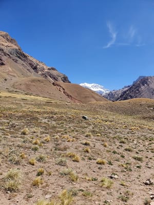 20191117_120921.jpg