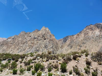 20191117_131323.jpg