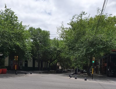 20191118_182908.jpg