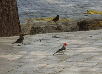 20191118_190813.jpg