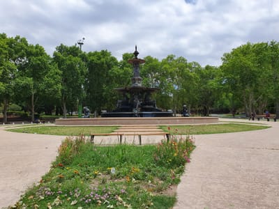 20191118_190912.jpg