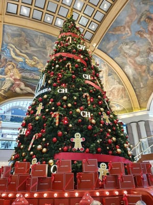 20191119_154348.jpg
