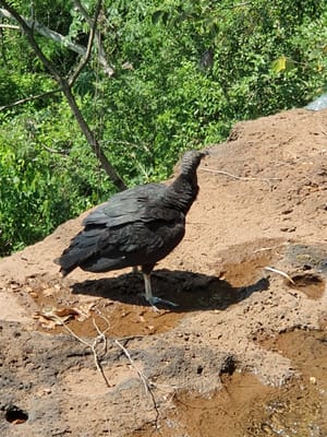 20191120_101741.jpg