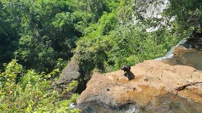 20191120_101746_1.mp4