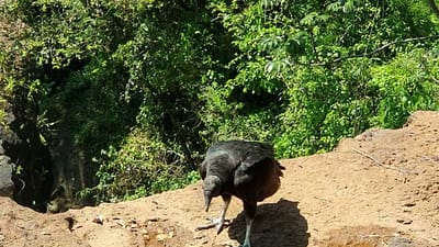 20191120_101803.mp4