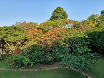 20191120_180016.jpg